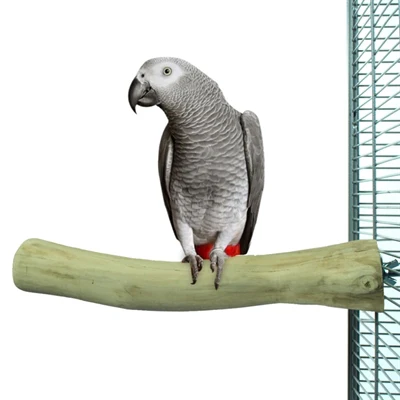 Back zoo nature java perch - Image 3