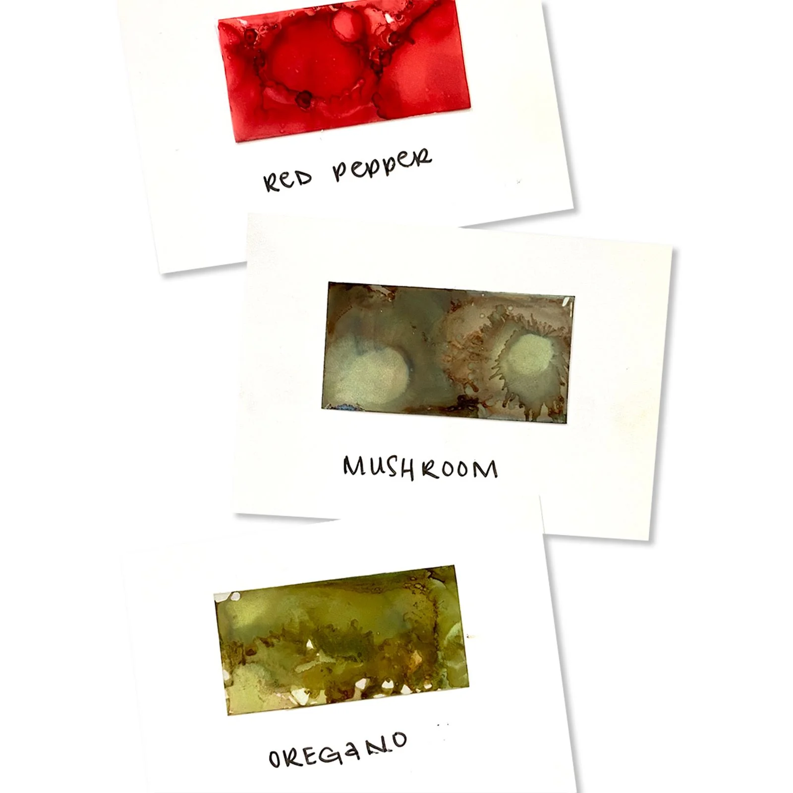 Ranger ink ranger • tim holtz alcohol inks tuscan garden 14ml - Image 2